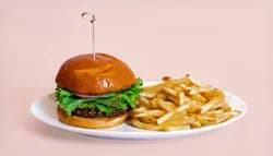 MALIBU GARDEN BURGER